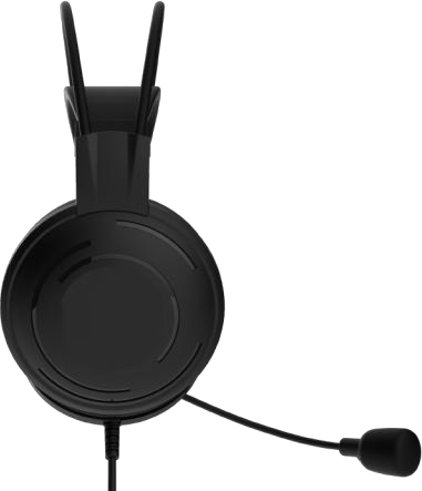 Complete education and examination headset capability example without customer branding